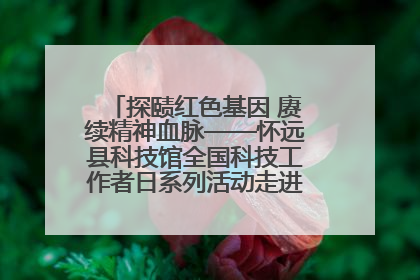 探赜红色基因 赓续精神血脉——怀远县科技馆全国科技工作者日系列活动走进怀远县实验中学