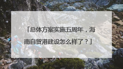 总体方案实施五周年，海南自贸港建设怎么样了？