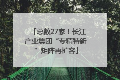 总数27家！长江产业集团“专精特新”矩阵再扩容