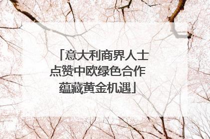 意大利商界人士点赞中欧绿色合作蕴藏黄金机遇