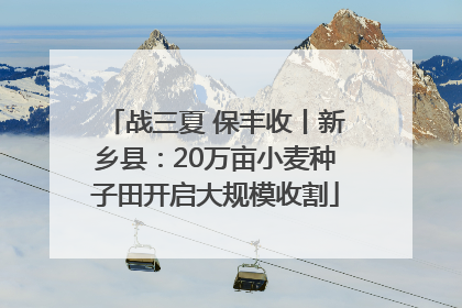 战三夏 保丰收丨新乡县：20万亩小麦种子田开启大规模收割