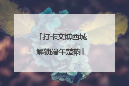 打卡文博西城 解锁端午楚韵