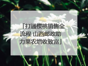 打通樱桃销售全流程 山西邮政助力果农增收致富