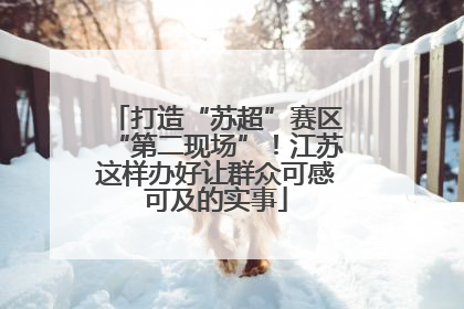 打造“苏超”赛区“第二现场”！江苏这样办好让群众可感可及的实事