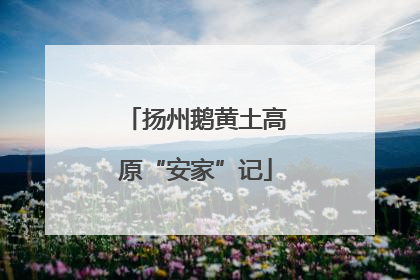 扬州鹅黄土高原“安家”记