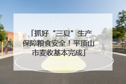 抓好“三夏”生产 保障粮食安全！平顶山市麦收基本完成