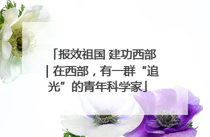 报效祖国 建功西部｜在西部，有一群“追光”的青年科学家