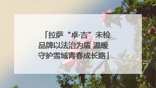 拉萨“卓·吉”未检品牌以法治为盾 温暖守护雪域青春成长路