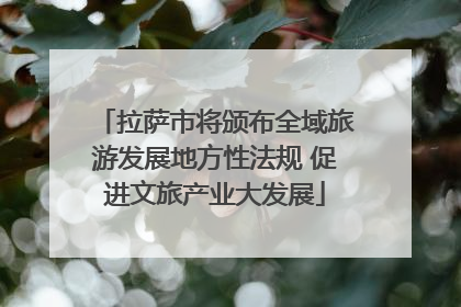 拉萨市将颁布全域旅游发展地方性法规 促进文旅产业大发展