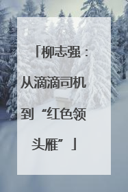 柳志强：从滴滴司机到“红色领头雁”