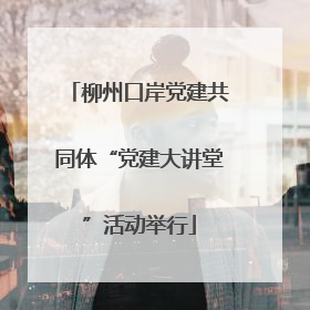 柳州口岸党建共同体“党建大讲堂”活动举行