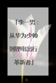 李一男：从华为少帅到锂电出行革新者