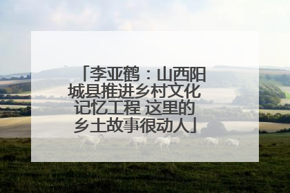 李亚鹤：山西阳城县推进乡村文化记忆工程 这里的乡土故事很动人