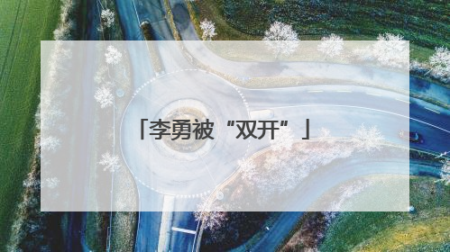 李勇被“双开”