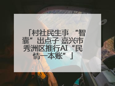 村社民生事 “智囊”出点子 嘉兴市秀洲区推行AI“民情一本账”
