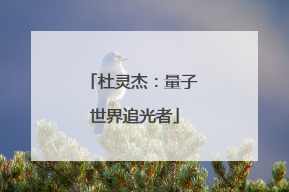 杜灵杰：量子世界追光者