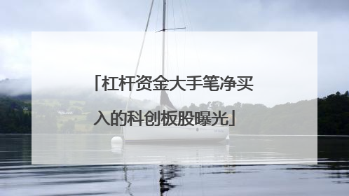 杠杆资金大手笔净买入的科创板股曝光
