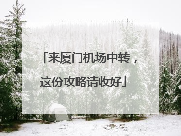 来厦门机场中转，这份攻略请收好