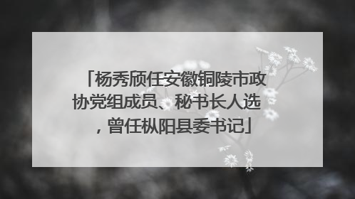 杨秀颀任安徽铜陵市政协党组成员、秘书长人选，曾任枞阳县委书记