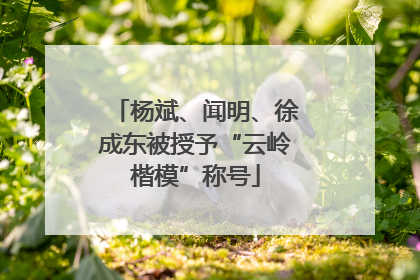 杨斌、闻明、徐成东被授予“云岭楷模”称号