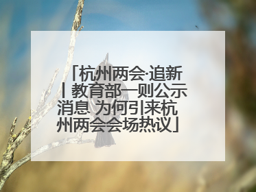 杭州两会·追新丨教育部一则公示消息 为何引来杭州两会会场热议