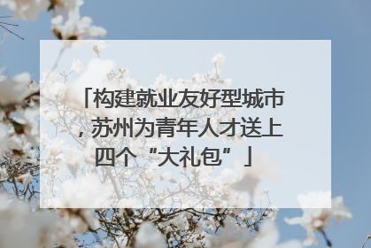 构建就业友好型城市，苏州为青年人才送上四个“大礼包”