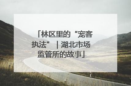 林区里的“宠客执法”｜湖北市场监管所的故事