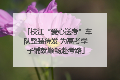 枝江“爱心送考”车队整装待发 为高考学子铺就顺畅赴考路