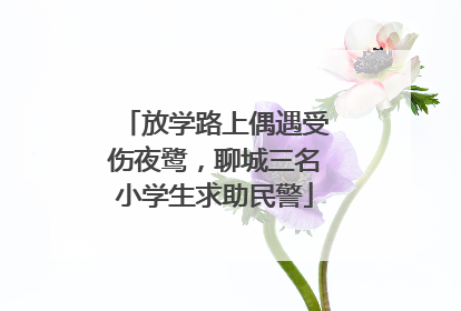 放学路上偶遇受伤夜鹭，聊城三名小学生求助民警