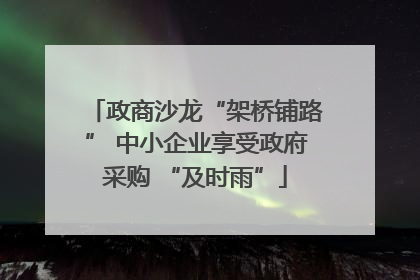 政商沙龙“架桥铺路” 中小企业享受政府采购 “及时雨”
