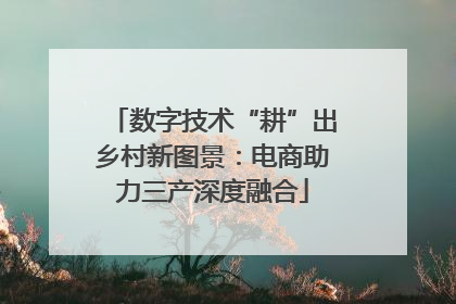 数字技术“耕”出乡村新图景：电商助力三产深度融合