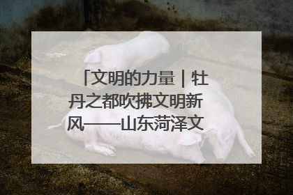 文明的力量｜牡丹之都吹拂文明新风——山东菏泽文明创建一线见闻