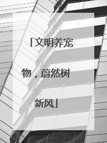 文明养宠物，蔚然树新风