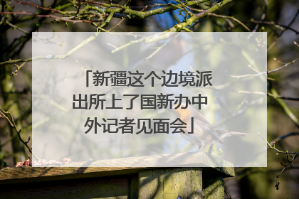 新疆这个边境派出所上了国新办中外记者见面会