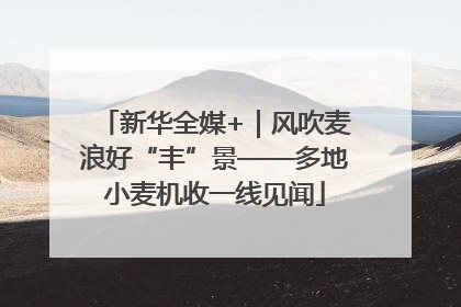 新华全媒+｜风吹麦浪好“丰”景——多地小麦机收一线见闻