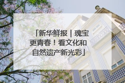 新华鲜报｜瑰宝更青春！看文化和自然遗产新光彩