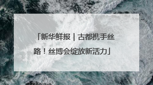 新华鲜报｜古都携手丝路！丝博会绽放新活力