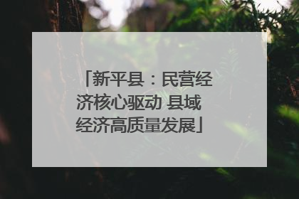 新平县：民营经济核心驱动 县域经济高质量发展