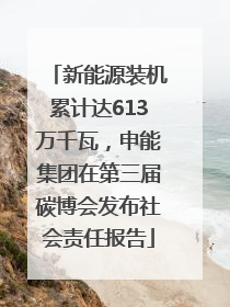 新能源装机累计达613万千瓦，申能集团在第三届碳博会发布社会责任报告