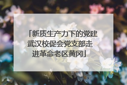 新质生产力下的党建 武汉校促会党支部走进革命老区黄冈