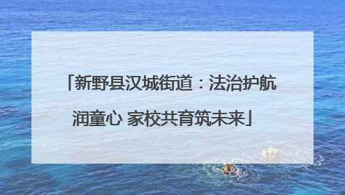 新野县汉城街道：法治护航润童心 家校共育筑未来