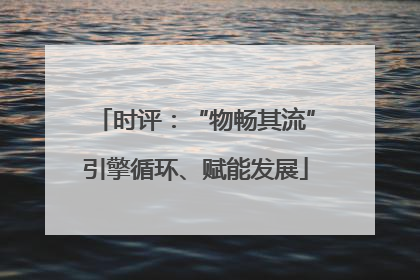 时评：“物畅其流”引擎循环、赋能发展