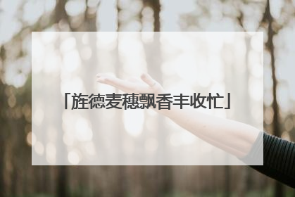 旌德麦穗飘香丰收忙
