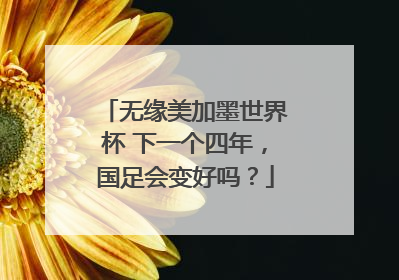无缘美加墨世界杯 下一个四年，国足会变好吗？