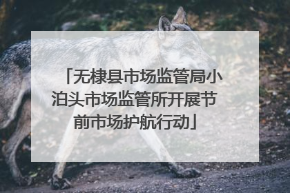 无棣县市场监管局小泊头市场监管所开展节前市场护航行动