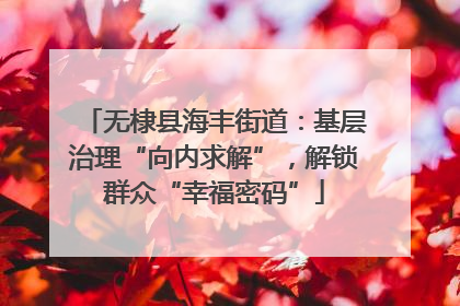 无棣县海丰街道：基层治理“向内求解”，解锁群众“幸福密码”