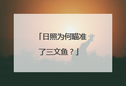日照为何瞄准了三文鱼？