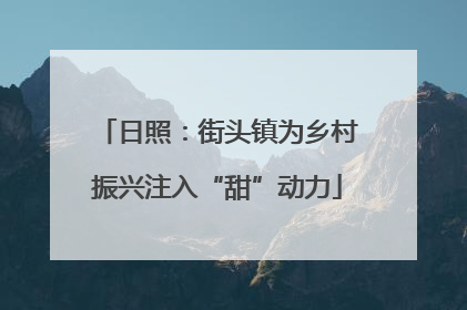 日照：街头镇为乡村振兴注入“甜”动力