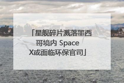 星舰碎片溅落墨西哥境内 SpaceX或面临环保官司