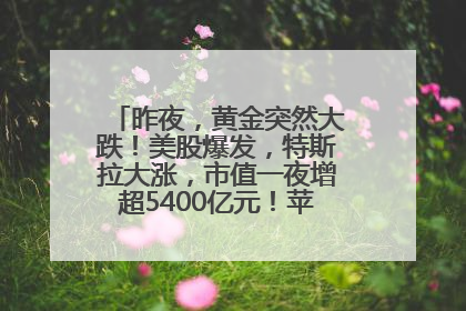 昨夜，黄金突然大跌！美股爆发，特斯拉大涨，市值一夜增超5400亿元！苹果传来大消息